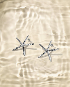 Canne Earing